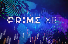 Comprehensive Guide Understanding PrimeXBT Copy Trading